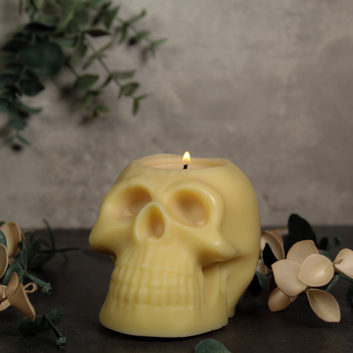 Skull Candle